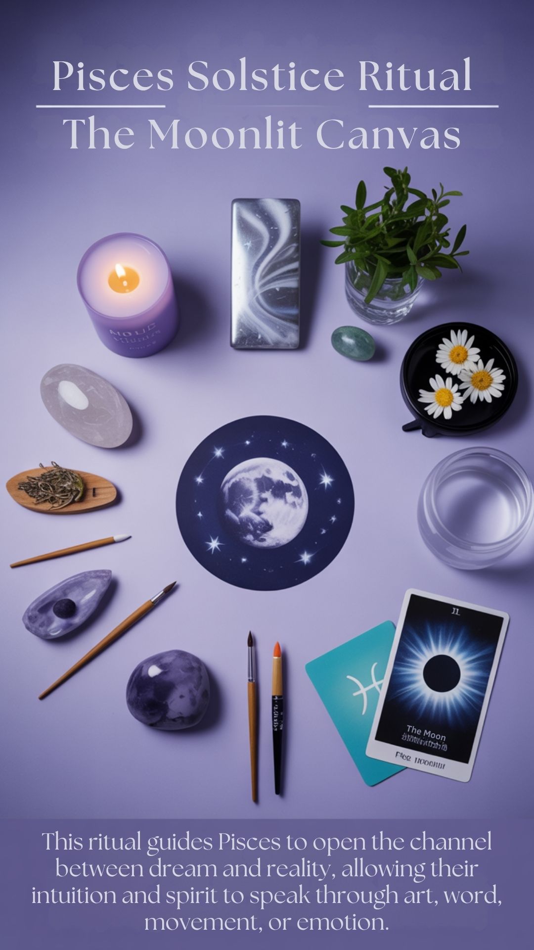 Moonlit Canvas Moonlit Canvas