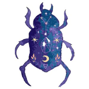 Blue Celestial Beetle