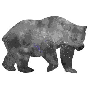 Grey Celestial Bear