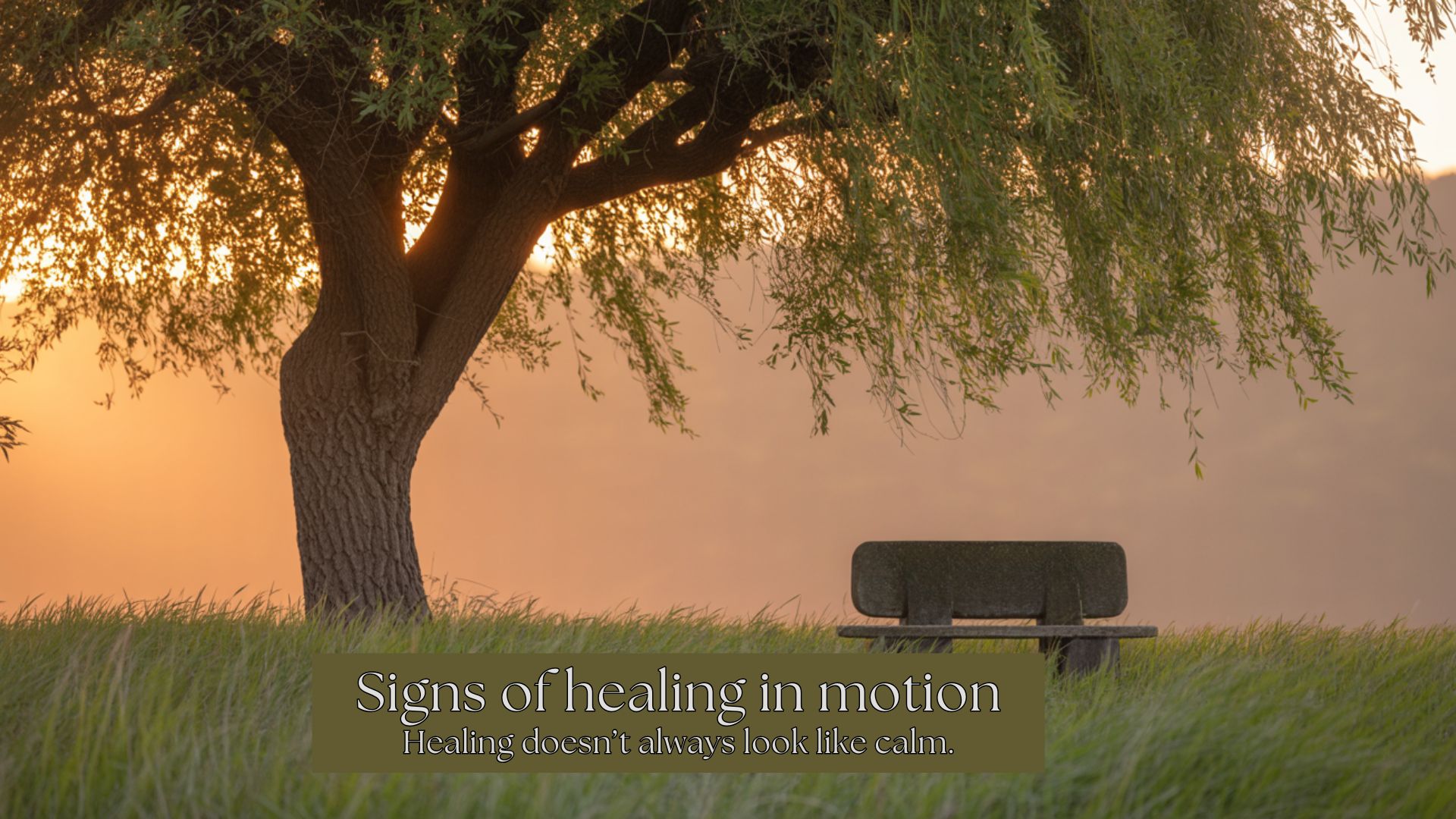 Signs Healing
